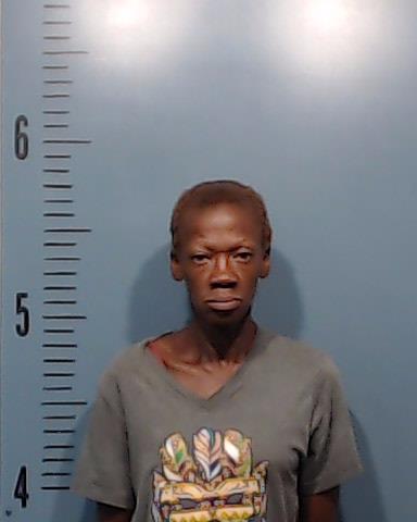 Leonard-Gonzalez, Lina De Las Mercedes booking photo