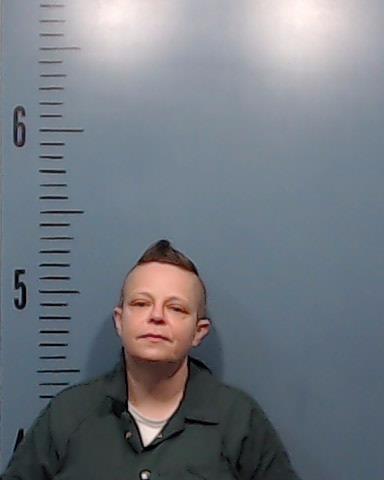 Hollander, Dana Renea booking photo