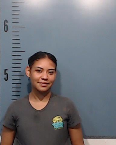 Johnson, Jazmyn Aaliyah booking photo