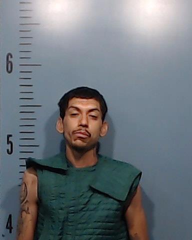 Perez, Andres, Jr. booking photo