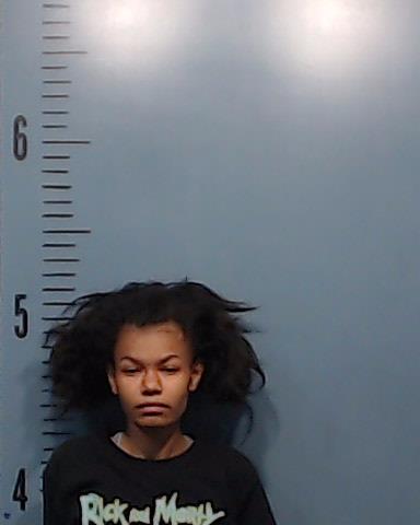 Galvan, Sasha Paulina booking photo