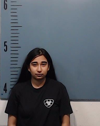 Lozano, Samantha Nicole booking photo