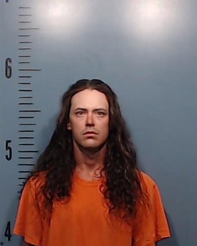 Lewis, Domenic Richard booking photo