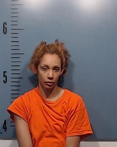 McGill, Henri Ann booking photo