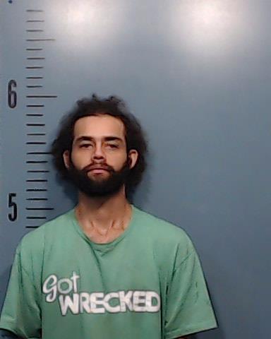 Andrews, England Carlton, V booking photo