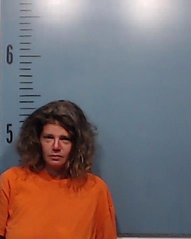 Parsons, Kimberly Louise booking photo