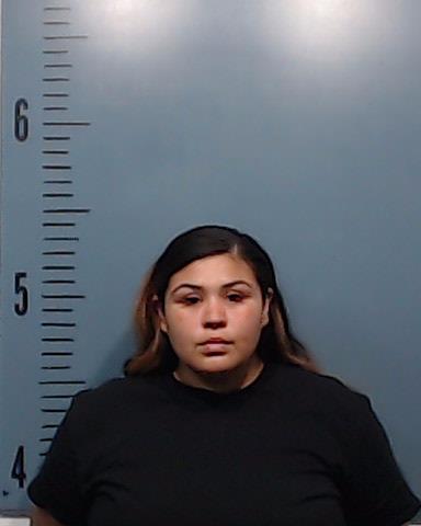 Guzman, Ana Alicia booking photo