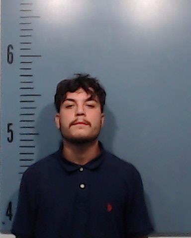 Flores, Joel Roy booking photo