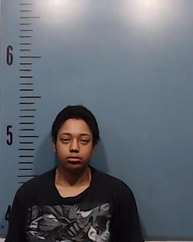 Jones, Hadara Sade booking photo