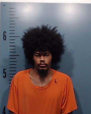 Woodards, Stephon Deshawn booking photo