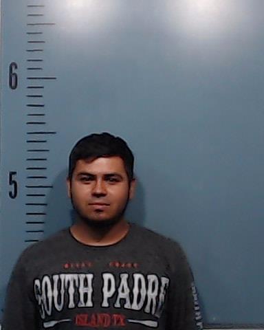 Alvarez-Hernandez, Herman booking photo