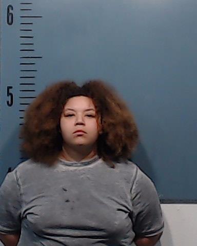 Meeks Swain, Aaliyah Lavell booking photo