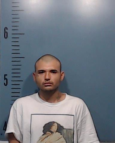 Bravo, Joadam Elias booking photo