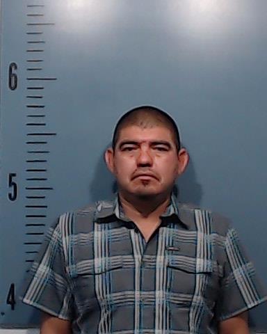 Serna-Zuniga, Gerardo booking photo