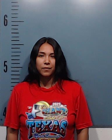 Gonzales, Natalie Marie booking photo