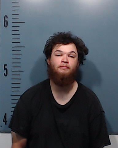 Robison, Dane Lamar booking photo