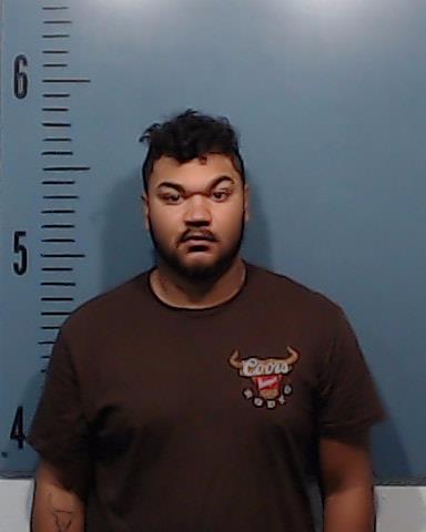 Owens, Paul Raymond, III booking photo