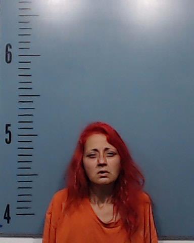 Stroope, Ladonna Kay booking photo