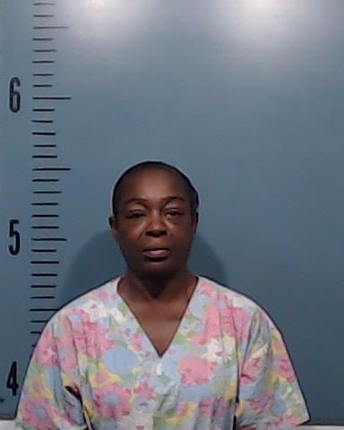 Johnson, Trina Delon booking photo