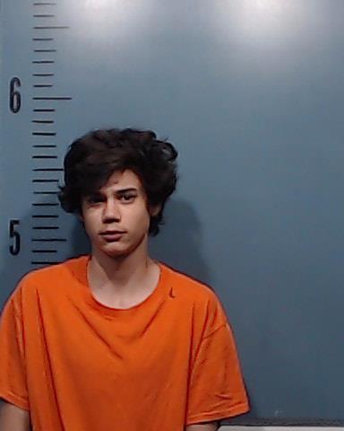 Thompson, Danny Brazos booking photo