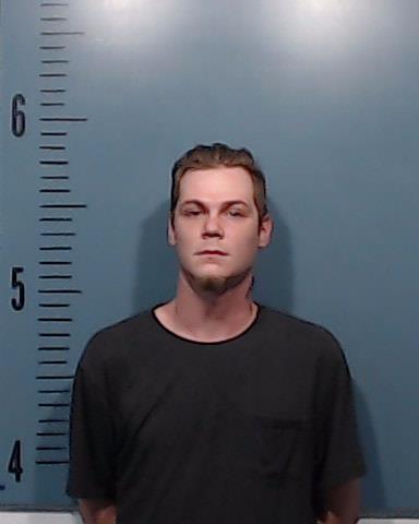 Johnson, Aaron Preston, Jr. booking photo