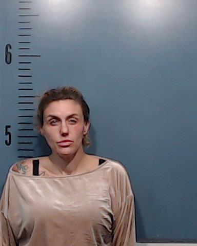 Shaw, Nicole Lynn booking photo