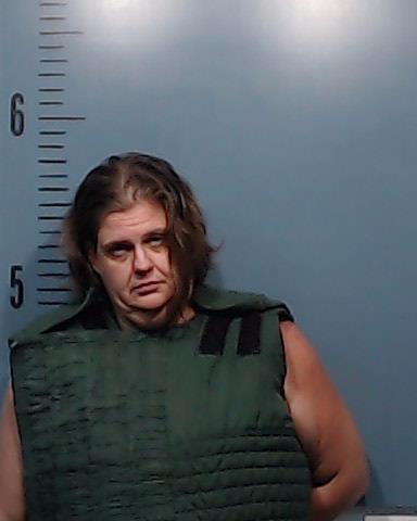 Carroll, Amy Elizabeth booking photo