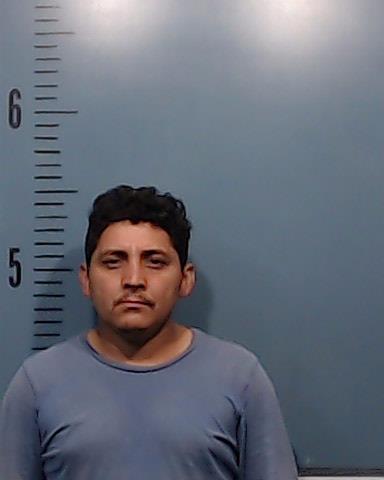 Torres-Grandos, Julio booking photo