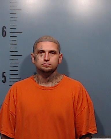 Alvarez, Joe Anthony booking photo