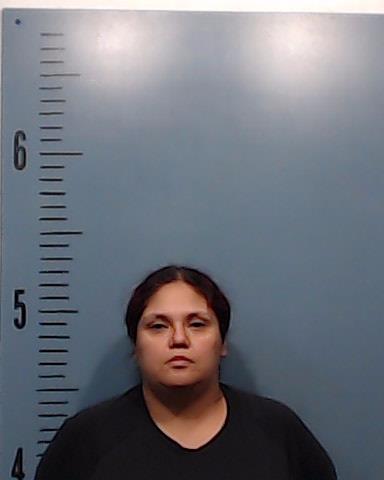 Salazar, Erica Ortega booking photo