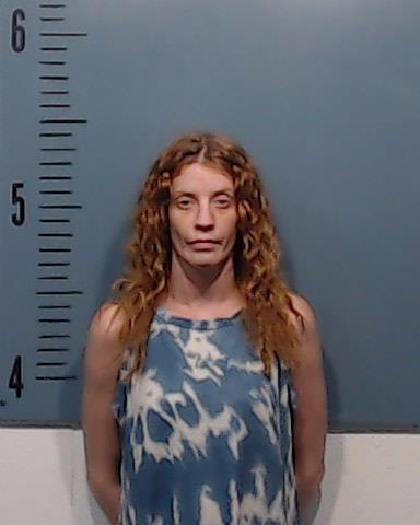 Leroy, Shanna Lynne booking photo