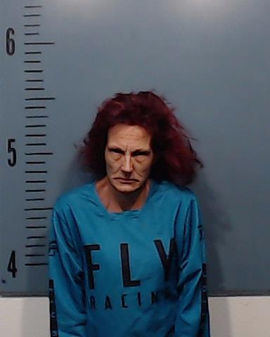 Ticossi, Angelina Michelle booking photo