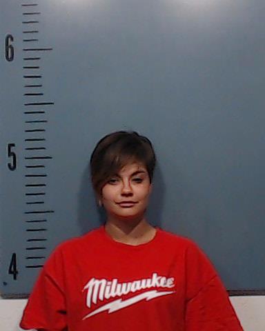 Porter, Lakrisna Renee booking photo