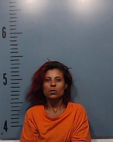 Donaghey, Felisita Villegas booking photo