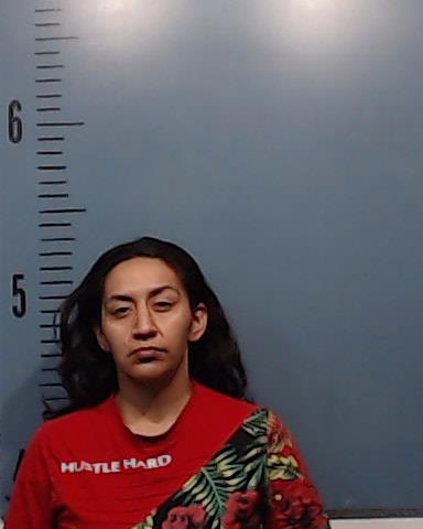 Gutierrez, Cecilia Nichol booking photo