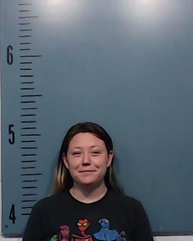 Castro, Alexis Michelle booking photo