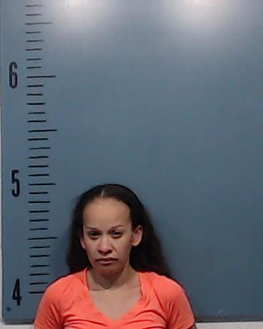 Gaona, Carolina Ann booking photo