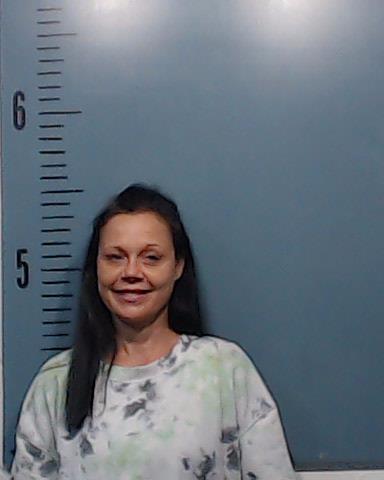 Vinson, Shannon booking photo