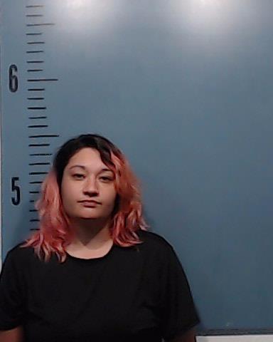 Sanders, Destinie Cheyenne booking photo