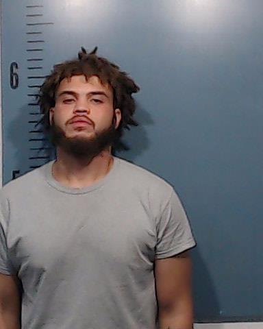 Williams, Payton Reece booking photo