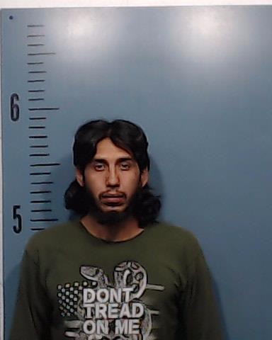 Flores, Daniel Miguel booking photo