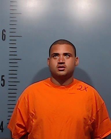 Davis, Brenton Ladon booking photo