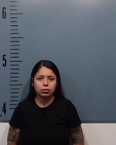 Reyes, Teresa Lenay booking photo