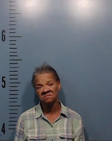 White, Sheila Ann booking photo