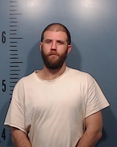 Shubin, Dylan Michael booking photo
