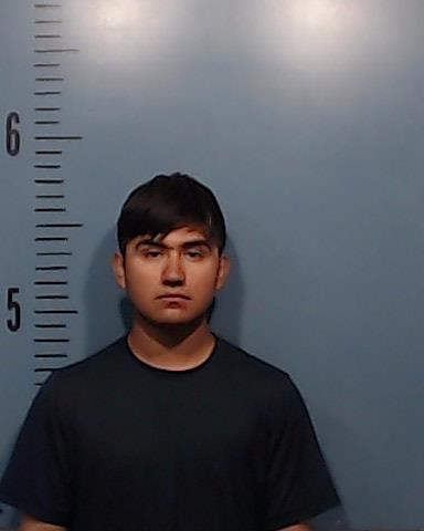 Zamora Gomez, Alan Jonatan booking photo