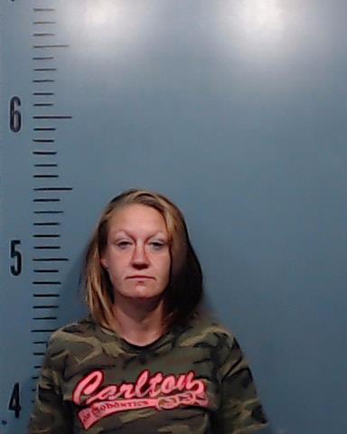 Hood, Ashley Nicole booking photo