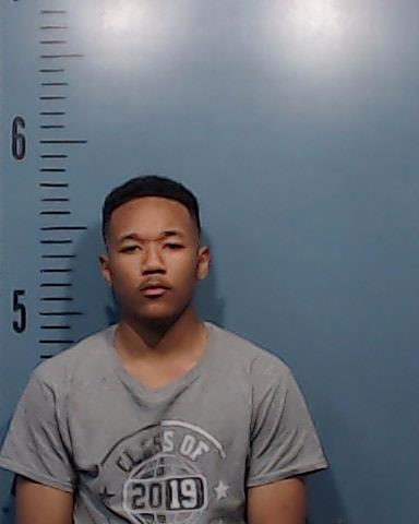 Nguyen, Tevye David booking photo