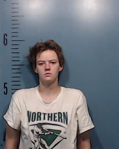 Hood, Laura Rose booking photo