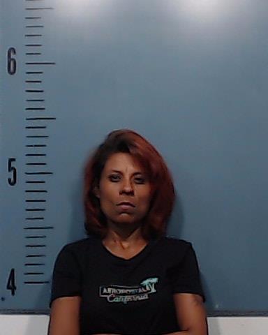 Donaghey, Felisita Villegas booking photo